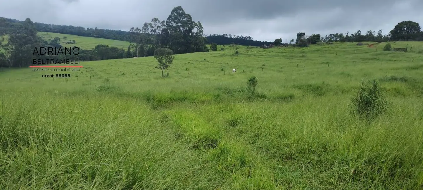 Foto 2 de Fazenda / Haras com 7 quartos à venda, 49m2 em Área Rural de Amparo, Amparo - SP