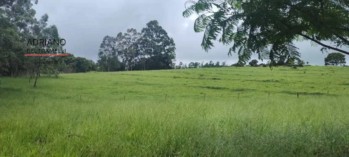 Foto 5 de Fazenda / Haras com 7 quartos à venda, 49m2 em Área Rural de Amparo, Amparo - SP