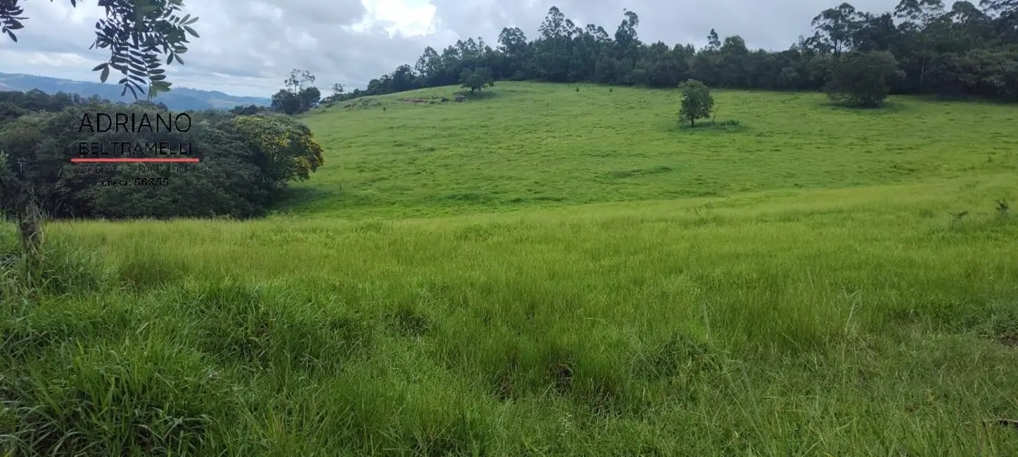 Foto 3 de Fazenda / Haras com 7 quartos à venda, 49m2 em Área Rural de Amparo, Amparo - SP