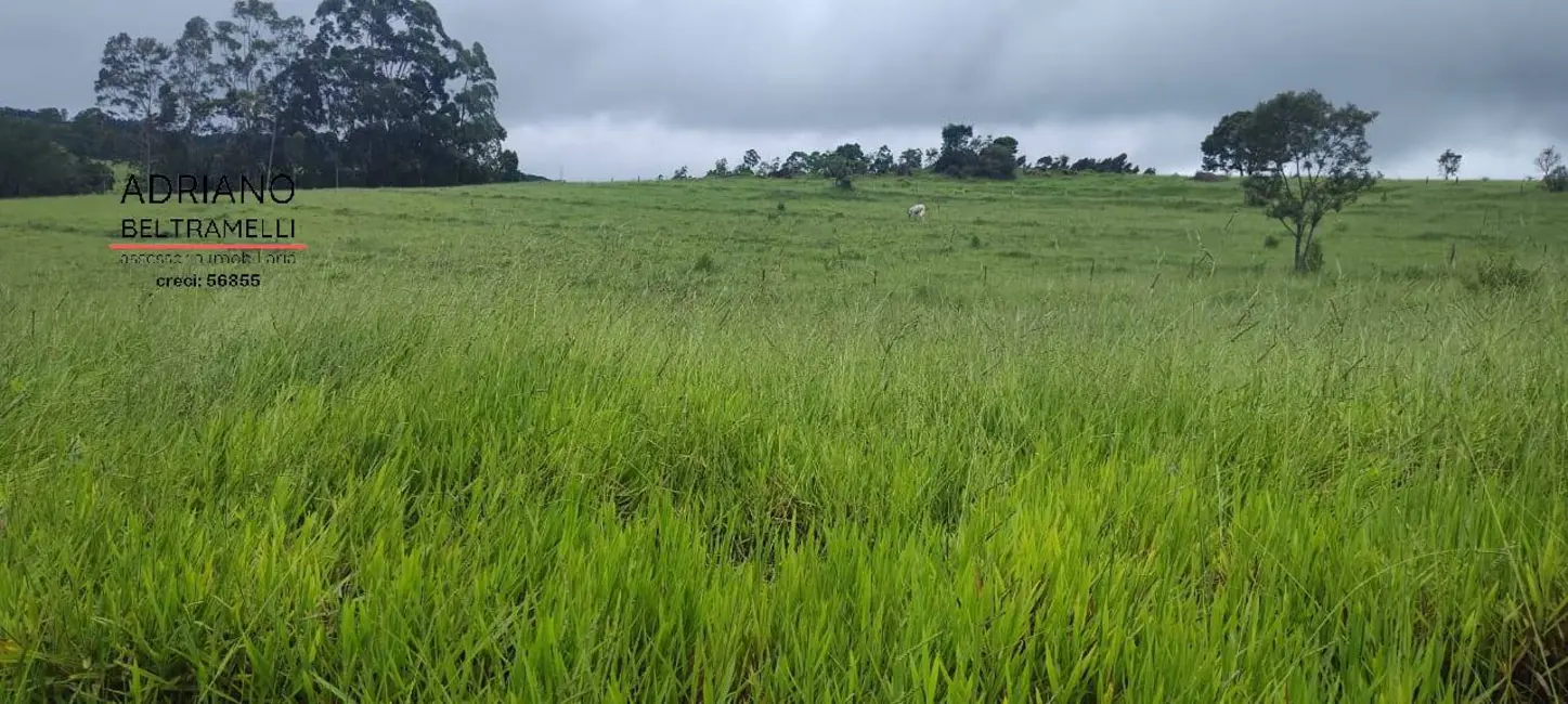 Foto 4 de Fazenda / Haras com 7 quartos à venda, 49m2 em Área Rural de Amparo, Amparo - SP