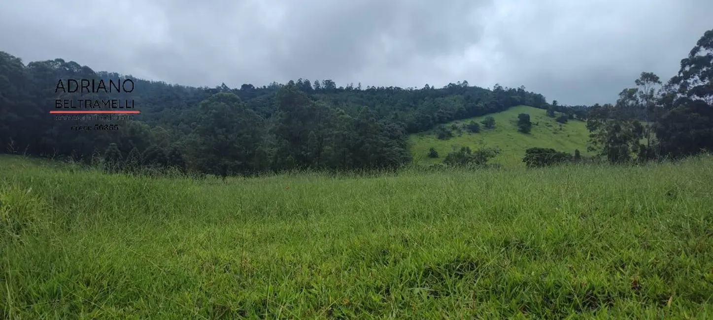 Foto 6 de Fazenda / Haras com 7 quartos à venda, 49m2 em Área Rural de Amparo, Amparo - SP