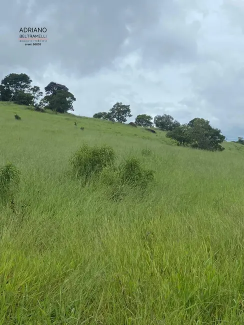 Foto 7 de Sítio / Rancho com 7 quartos à venda, 49m2 em Área Rural de Amparo, Amparo - SP