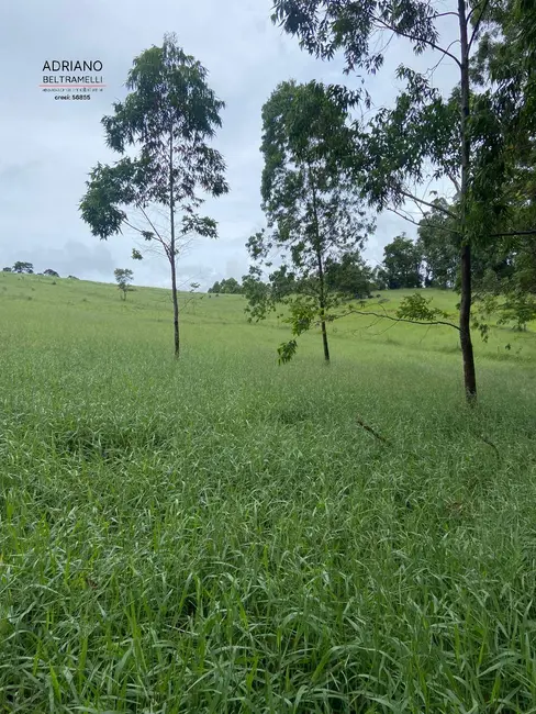 Foto 4 de Sítio / Rancho com 7 quartos à venda, 49m2 em Área Rural de Amparo, Amparo - SP