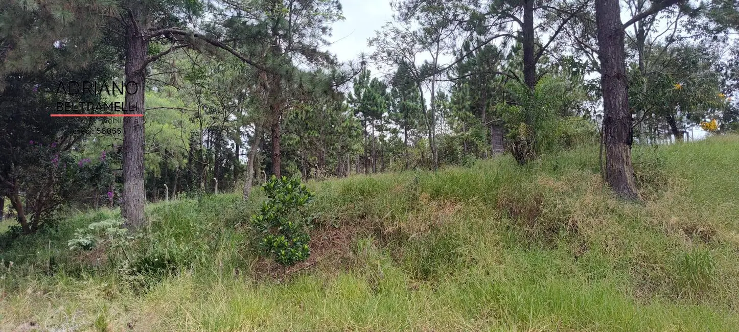 Foto 5 de Sítio / Rancho com 4 quartos à venda, 60000m2 em Vinhedo - SP