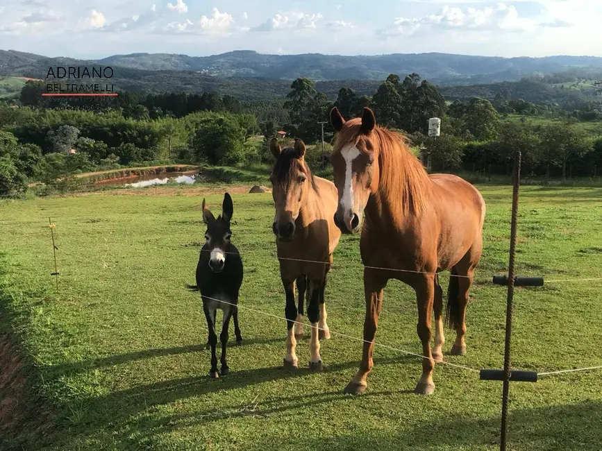 Foto 1 de Sítio / Rancho com 5 quartos à venda, 53882m2 em Joaquim Egídio, Campinas - SP