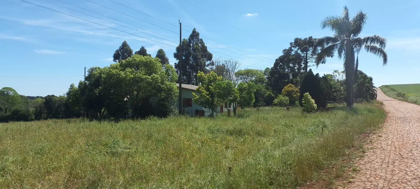 Foto 11 de Chácara à venda, 70000m2 em Centro, Selbach - RS