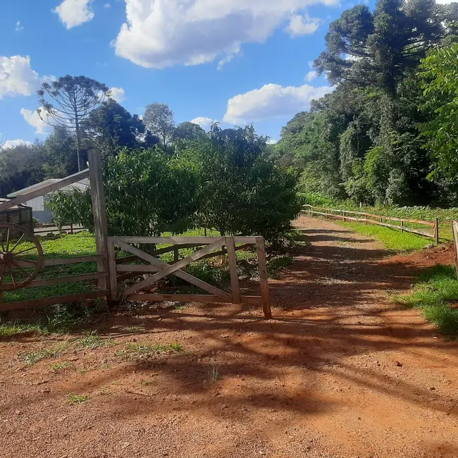 Foto 5 de Fazenda / Haras à venda, 50000m2 em Centro, Lagoa Dos Tres Cantos - RS