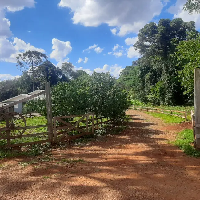 Foto 2 de Fazenda / Haras à venda, 50000m2 em Centro, Lagoa Dos Tres Cantos - RS