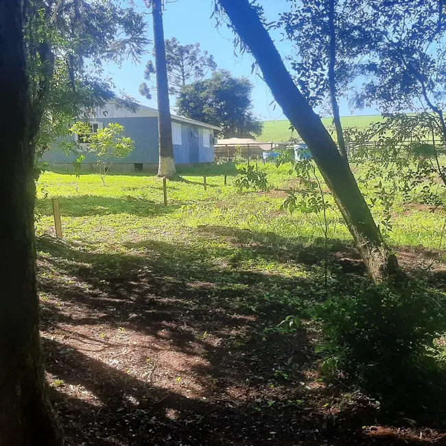 Foto 9 de Fazenda / Haras à venda, 50000m2 em Centro, Lagoa Dos Tres Cantos - RS