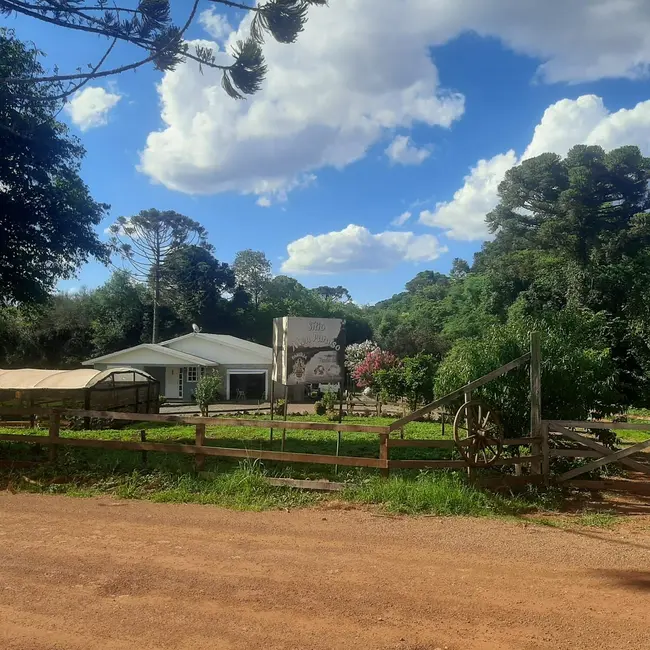 Foto 8 de Fazenda / Haras à venda, 50000m2 em Centro, Lagoa Dos Tres Cantos - RS