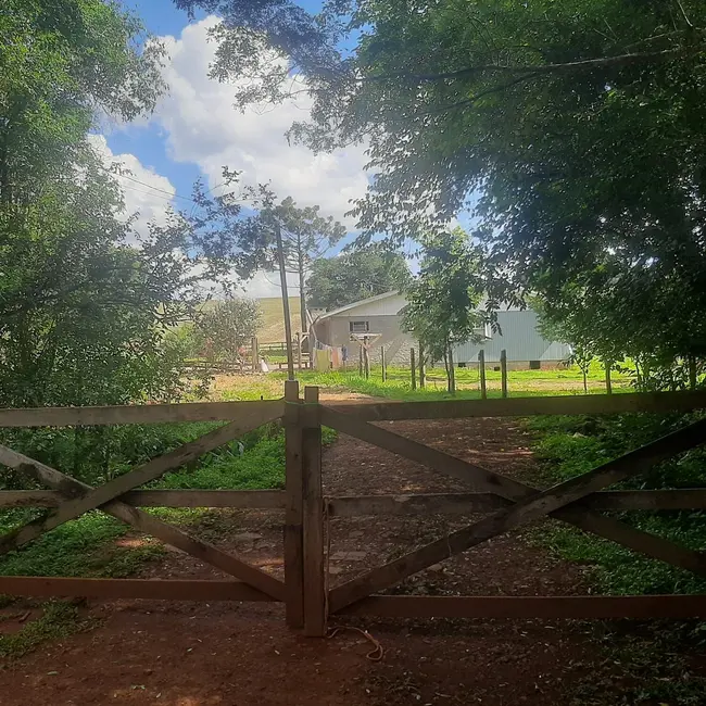 Foto 4 de Fazenda / Haras à venda, 50000m2 em Centro, Lagoa Dos Tres Cantos - RS