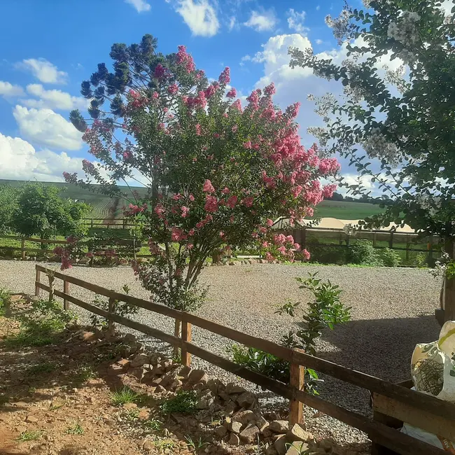 Foto 7 de Fazenda / Haras à venda, 50000m2 em Centro, Lagoa Dos Tres Cantos - RS