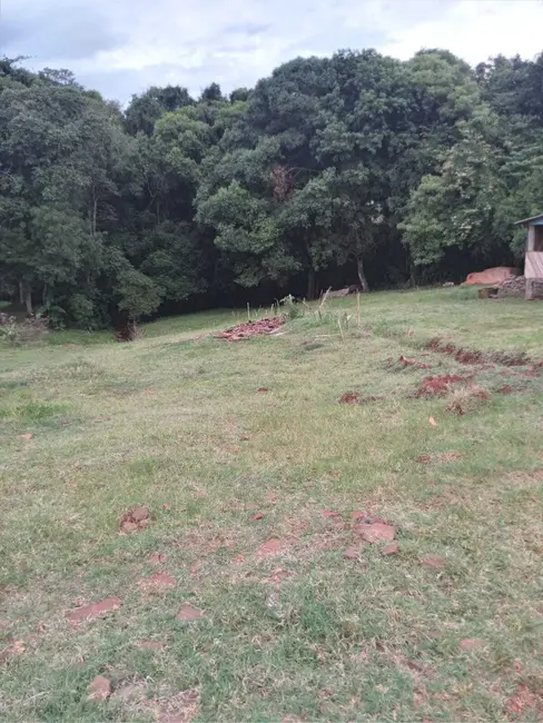 Foto 1 de Chácara com 2 quartos à venda, 5000m2 em Centro, Ibiruba - RS