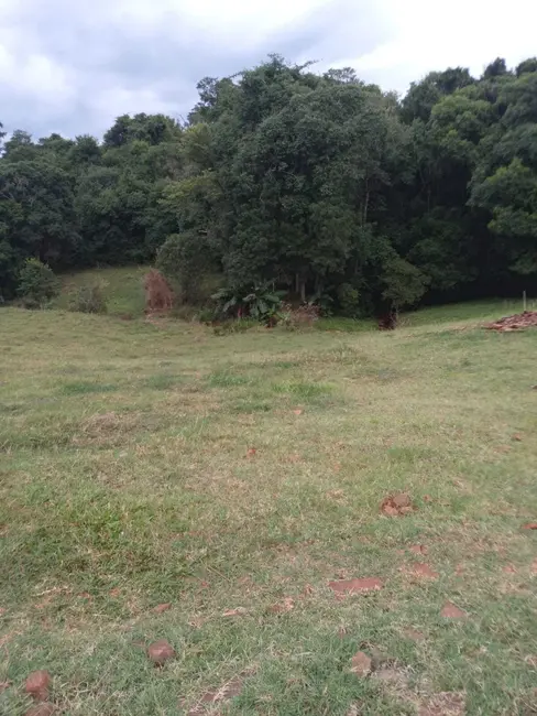 Foto 6 de Chácara com 2 quartos à venda, 5000m2 em Centro, Ibiruba - RS