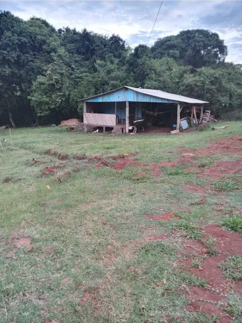 Foto 4 de Chácara com 2 quartos à venda, 5000m2 em Centro, Ibiruba - RS