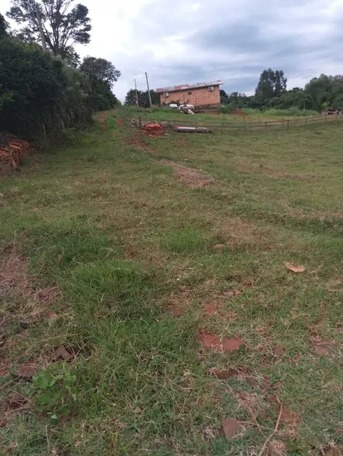 Foto 7 de Chácara com 2 quartos à venda, 5000m2 em Centro, Ibiruba - RS