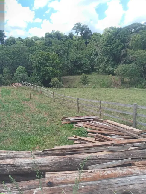 Foto 2 de Chácara com 2 quartos à venda, 5000m2 em Centro, Ibiruba - RS