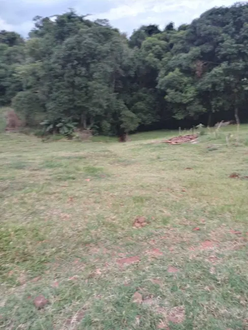 Foto 5 de Chácara com 2 quartos à venda, 5000m2 em Centro, Ibiruba - RS