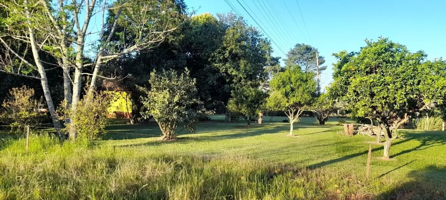 Foto 9 de Chácara com 3 quartos à venda, 24740m2 em Centro, Selbach - RS