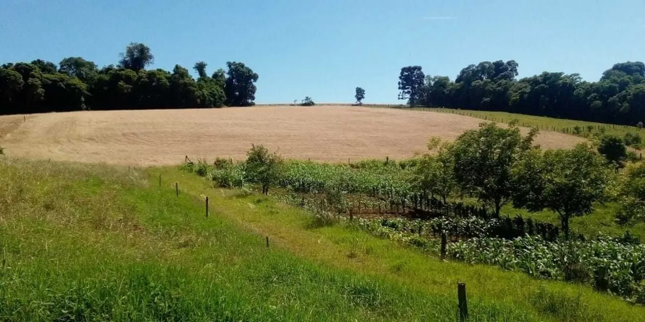 Foto 2 de Chácara com 2 quartos à venda, 23000m2 em Centro, Ibiruba - RS