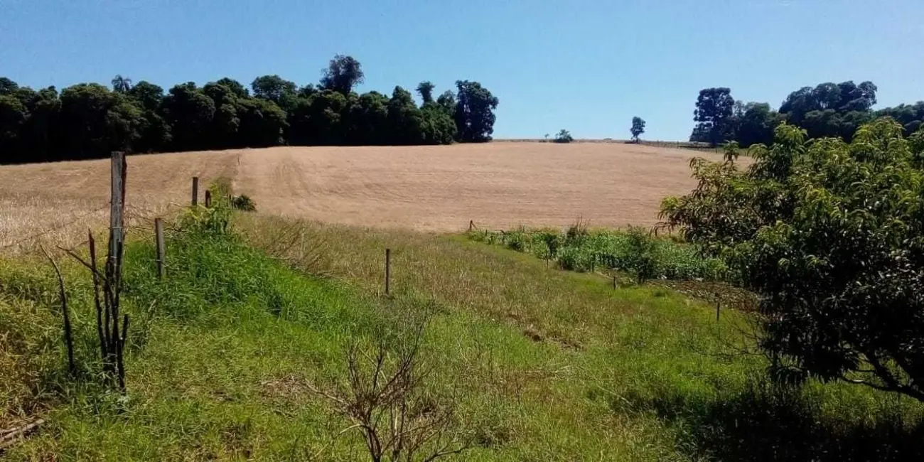 Foto 1 de Chácara com 2 quartos à venda, 23000m2 em Centro, Ibiruba - RS