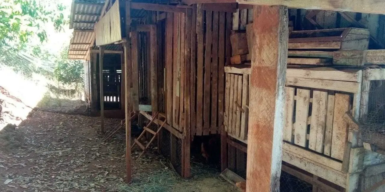Foto 8 de Chácara com 2 quartos à venda, 23000m2 em Centro, Ibiruba - RS