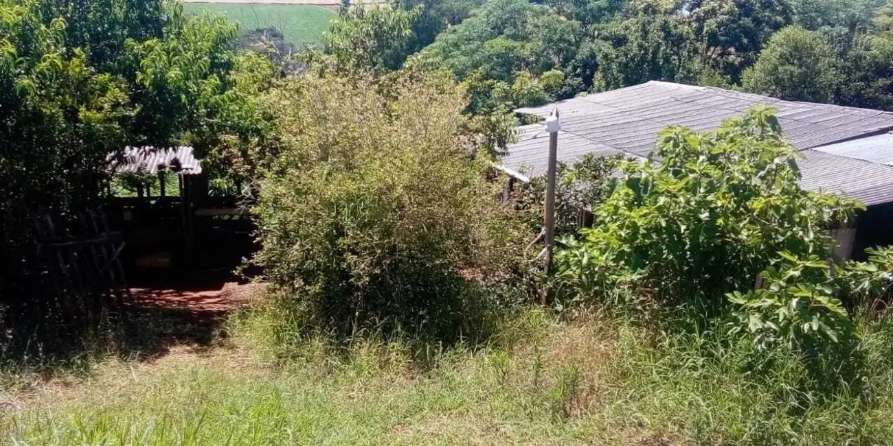 Foto 7 de Chácara com 2 quartos à venda, 23000m2 em Centro, Ibiruba - RS