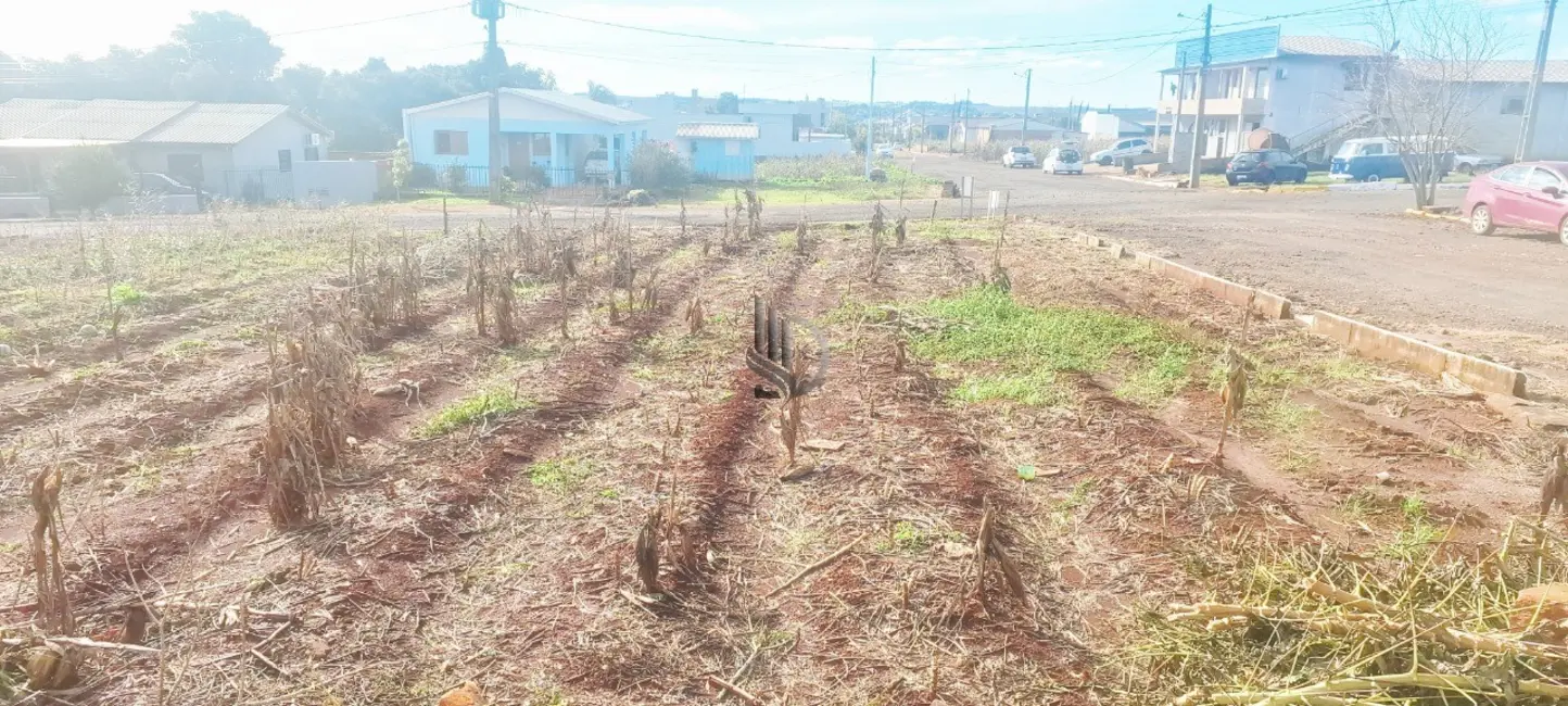 Foto 2 de Terreno / Lote à venda em Selbach - RS