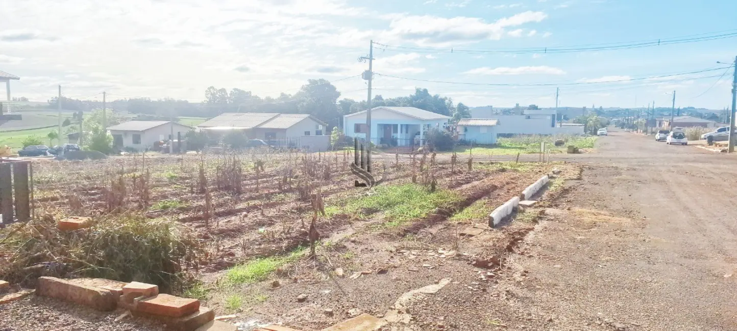 Foto 3 de Terreno / Lote à venda em Selbach - RS