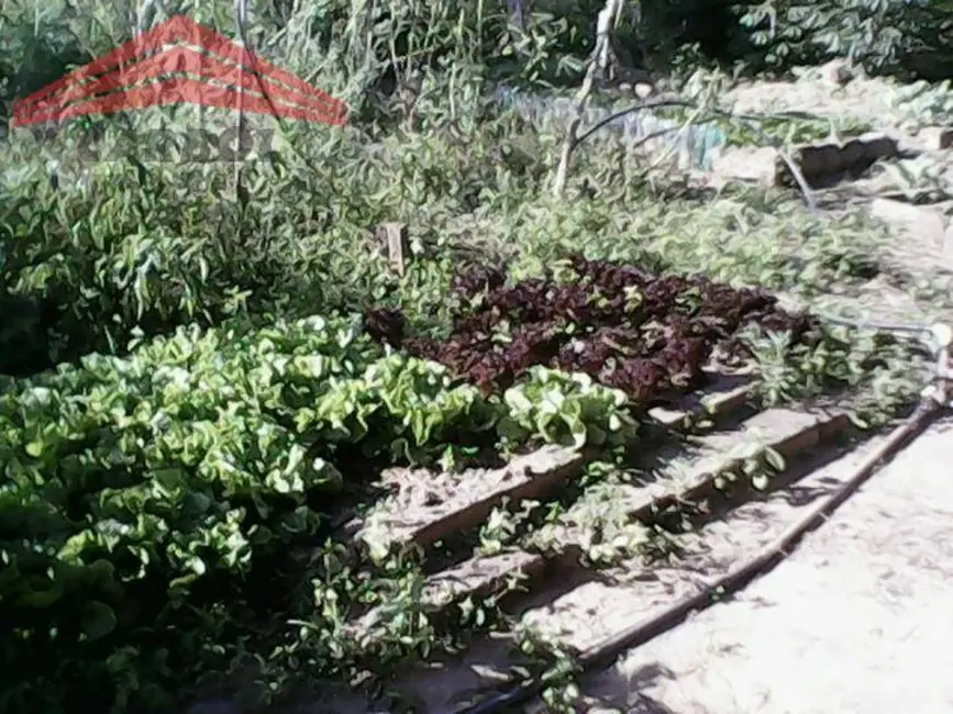 Foto 7 de Sítio / Rancho com 4 quartos à venda em Caxambu, Jundiai - SP