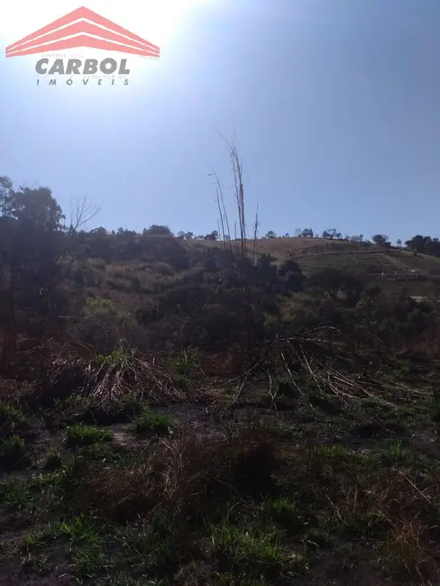 Foto 4 de Terreno / Lote à venda, 24000m2 em Maracanã, Jarinu - SP