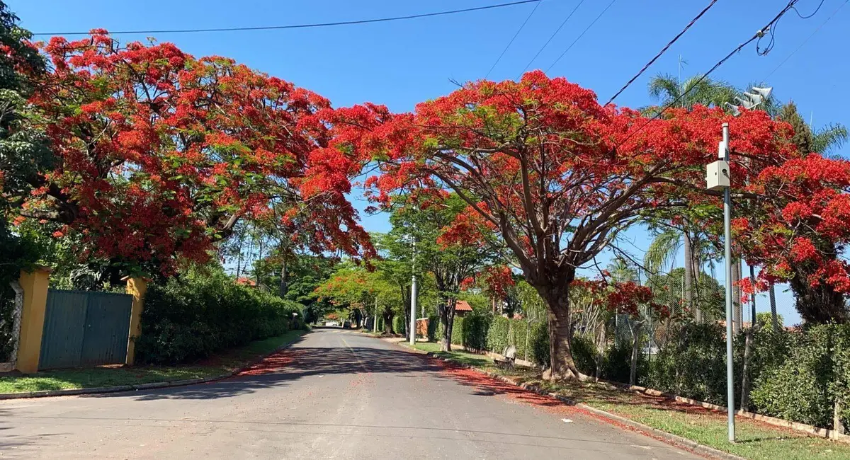 Foto 2 de Chácara com 4 quartos à venda, 579m2 em Itaici, Indaiatuba - SP