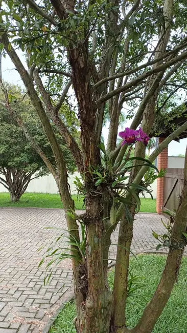 Foto 9 de Chácara com 4 quartos à venda, 3000m2 em Colinas do Mosteiro de Itaici, Indaiatuba - SP