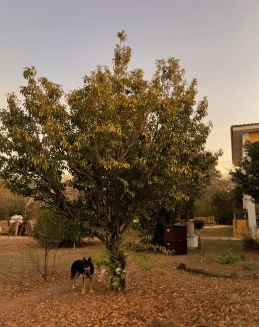 Foto 3 de Sobrado com 3 quartos à venda, 2442m2 em Vale das Laranjeiras, Indaiatuba - SP