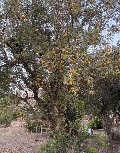 Foto 4 de Sobrado com 3 quartos à venda, 2442m2 em Vale das Laranjeiras, Indaiatuba - SP