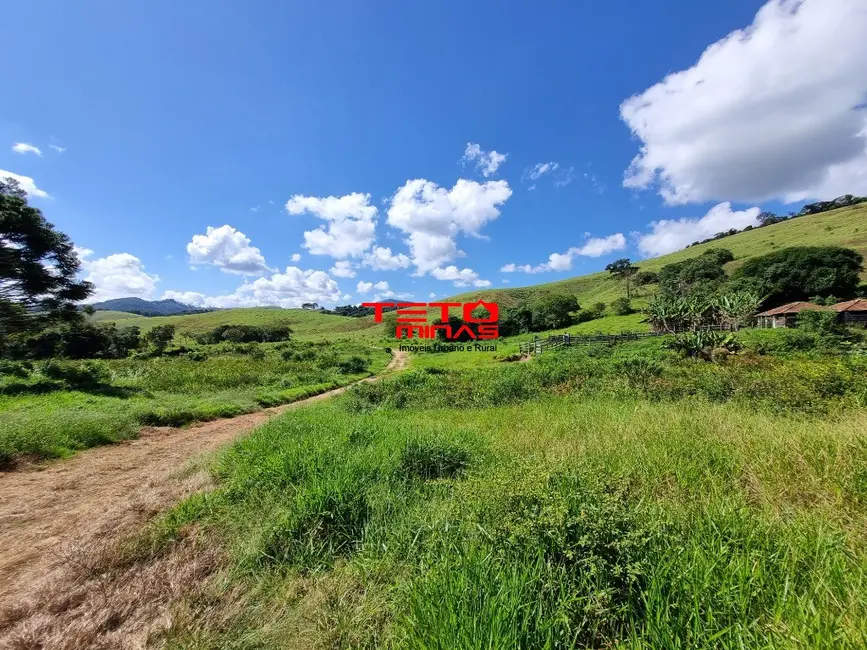 Fazenda / Haras à venda em Pouso Alto - MG - imagem 4 Foto 4 de Fazenda / Haras à venda em Pouso Alto - MG