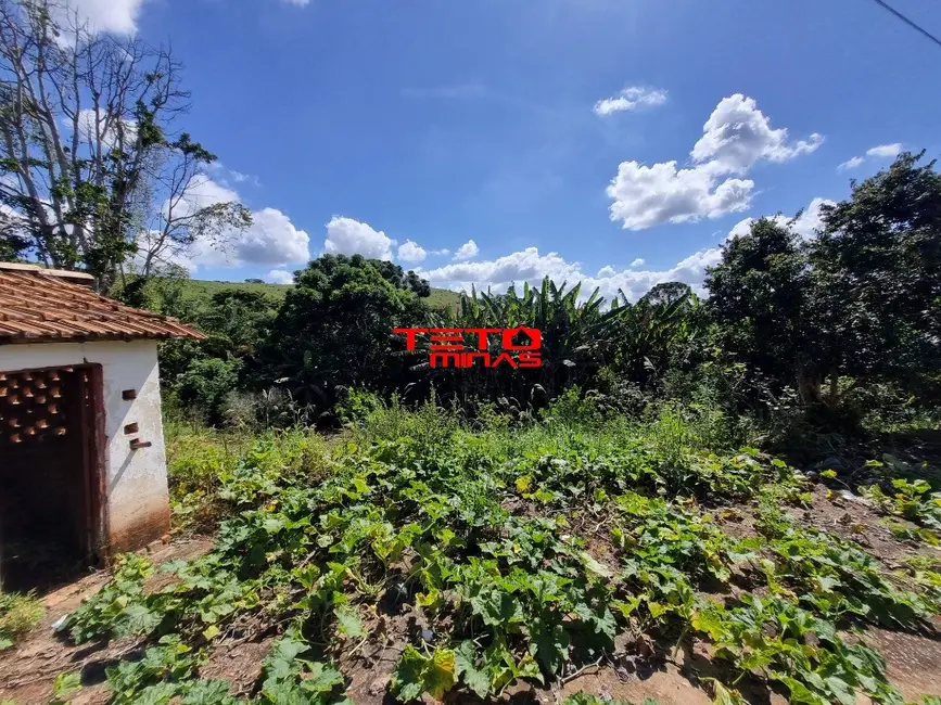Foto 2 de Fazenda / Haras à venda em Pouso Alto - MG