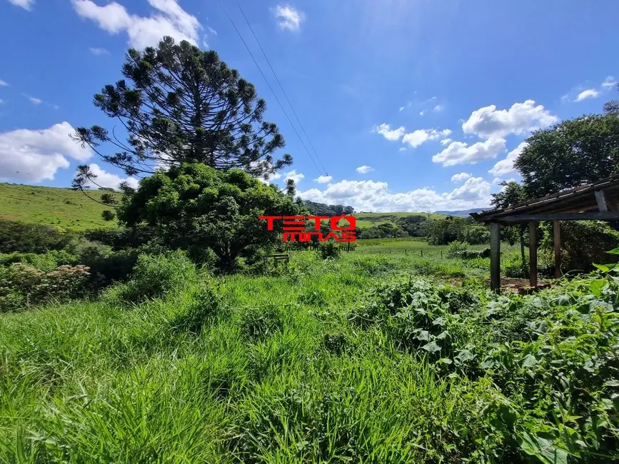 Fazenda / Haras à venda em Pouso Alto - MG - imagem 5 Foto 5 de Fazenda / Haras à venda em Pouso Alto - MG