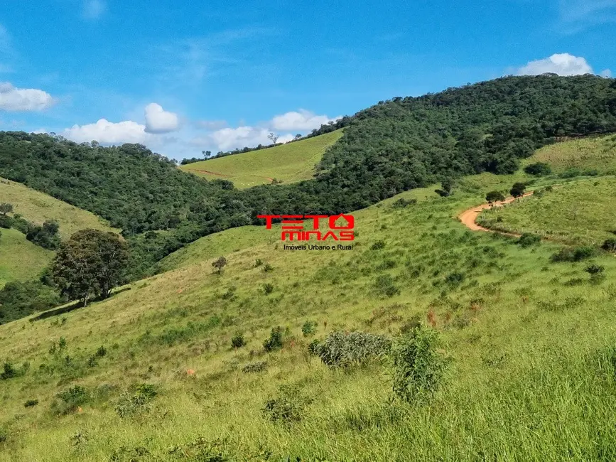 Fazenda / Haras à venda em Pouso Alto - MG - imagem 8 Foto 8 de Fazenda / Haras à venda em Pouso Alto - MG