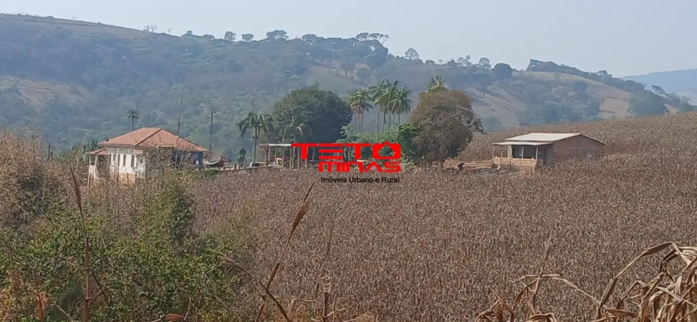 Foto 6 de Fazenda / Haras com 4 quartos à venda em Conceicao Do Rio Verde - MG