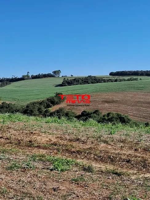 Foto 2 de Fazenda / Haras à venda em Cruzilia - MG