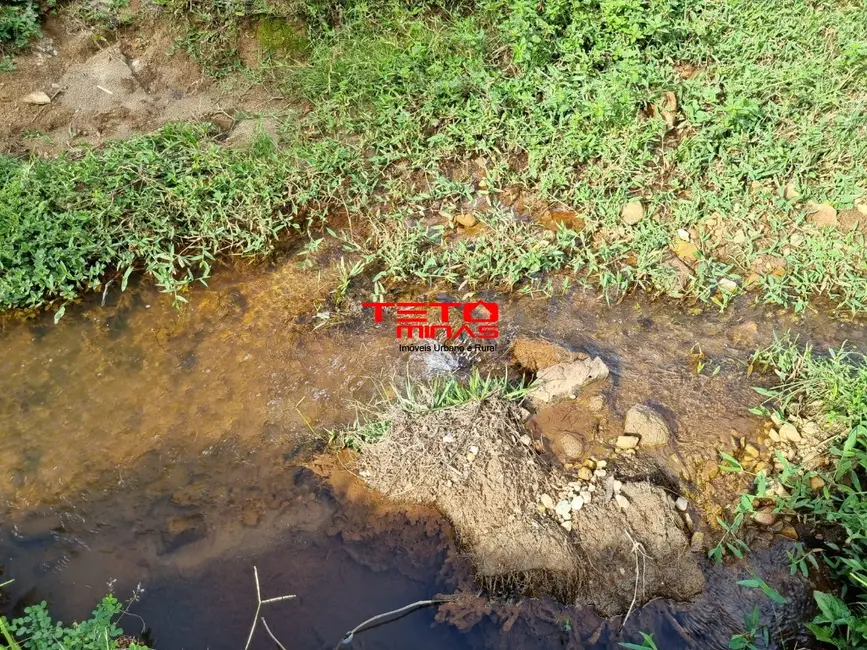 Chácara à venda em Pouso Alto - MG - imagem 13 Foto 13 de Chácara à venda em Pouso Alto - MG