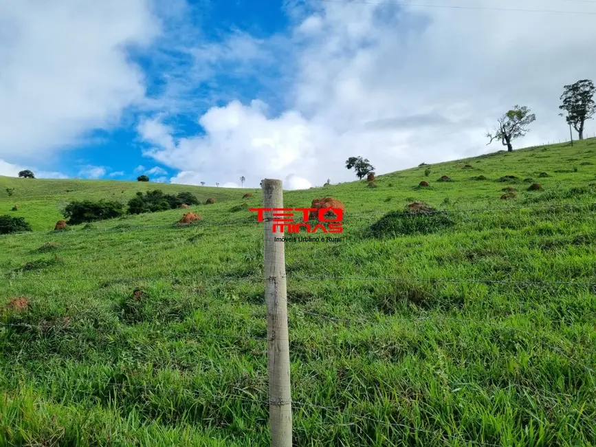 Chácara à venda em Pouso Alto - MG - imagem 7 Foto 7 de Chácara à venda em Pouso Alto - MG