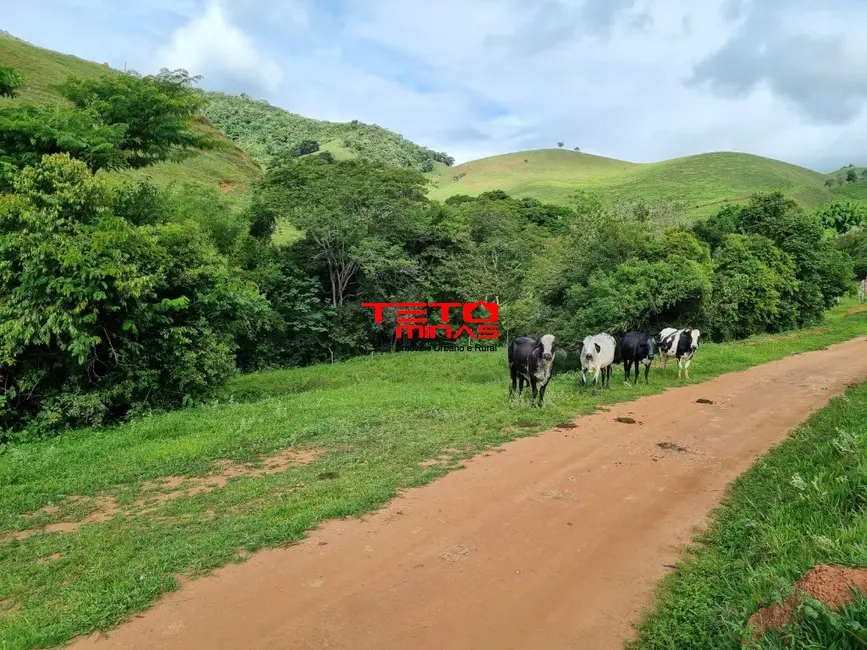 Chácara à venda em Pouso Alto - MG - imagem 8 Foto 8 de Chácara à venda em Pouso Alto - MG