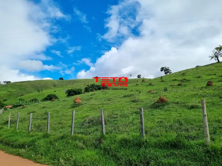 Chácara à venda em Pouso Alto - MG - imagem 3 Foto 3 de Chácara à venda em Pouso Alto - MG