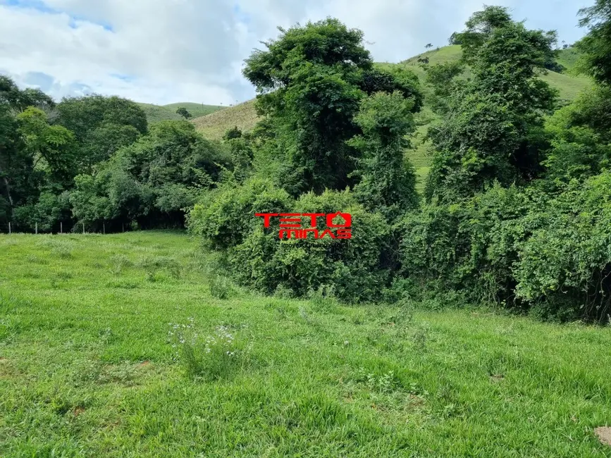 Chácara à venda em Pouso Alto - MG - imagem 5 Foto 5 de Chácara à venda em Pouso Alto - MG