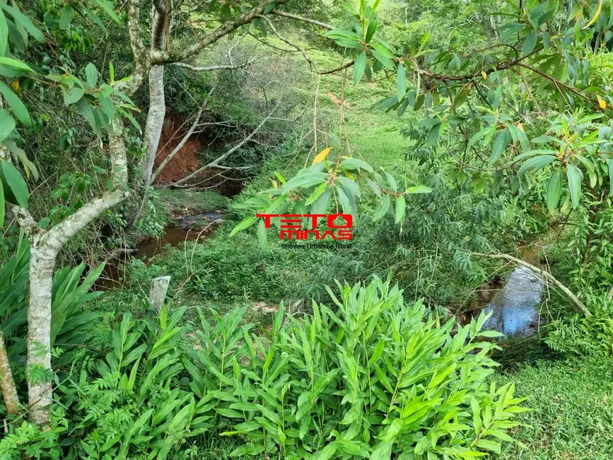 Chácara à venda em Pouso Alto - MG - imagem 13 Foto 13 de Chácara à venda em Pouso Alto - MG