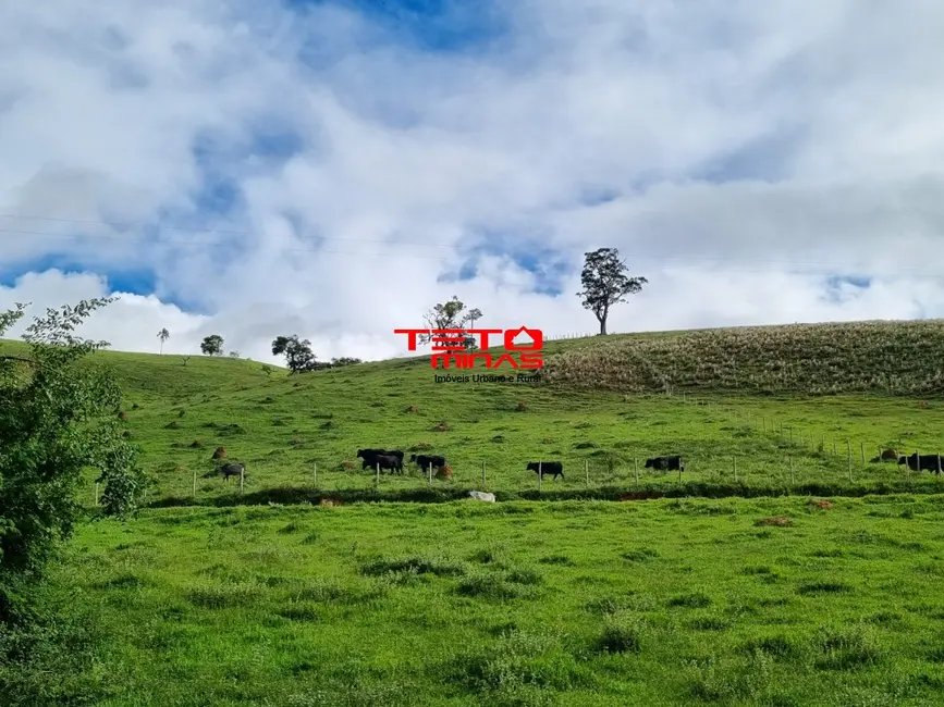 Chácara à venda em Pouso Alto - MG - imagem 3 Foto 3 de Chácara à venda em Pouso Alto - MG
