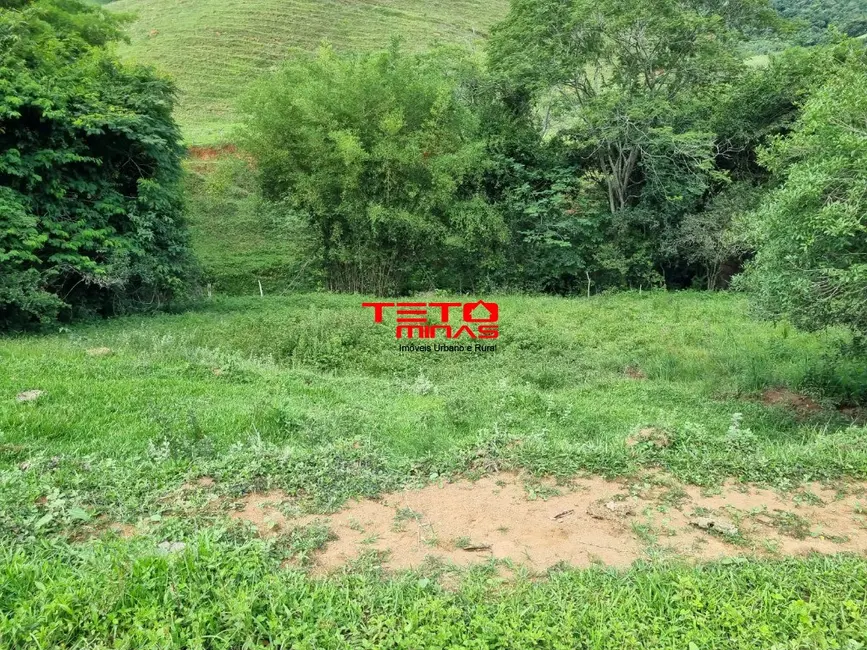 Chácara à venda em Pouso Alto - MG - imagem 12 Foto 12 de Chácara à venda em Pouso Alto - MG