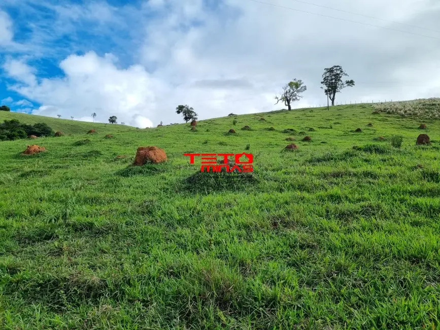 Chácara à venda em Pouso Alto - MG - imagem 11 Foto 11 de Chácara à venda em Pouso Alto - MG